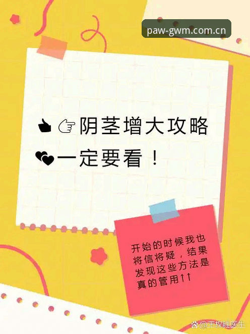 Manbetx投注教程 为什么说Manbetx投注教程是新手入门的必备指南?